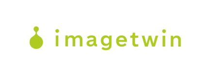 imagetwin-logo-v2