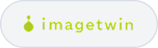 imagetwin-logo-filled